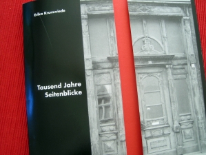 Buch Tausend Jahre Seitenblicke (1993-1994)