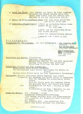 Vortragstext Stegreifspiele und seine Möglichkeiten (1960)